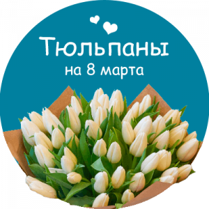 Купить тюльпаны в Калязине